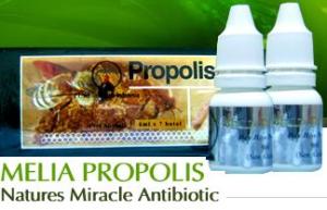 Propolis : Obat Jerawat Ampuh Dan Alami Untuk Mengatasi Masalah Jerawat